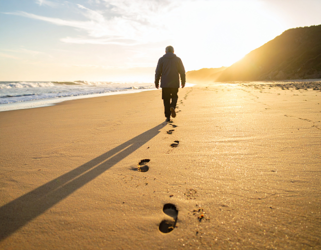 金融及保险服务为何免征增值税？