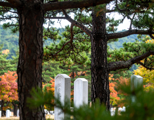 韩国祖坟案例：分墓基地权与地租纠纷